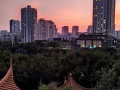 -深圳龙潭公园