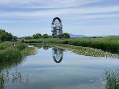 -苏州太湖湖滨国家湿地公园