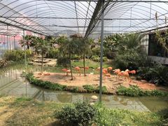 -无锡动物园·太湖欢乐园