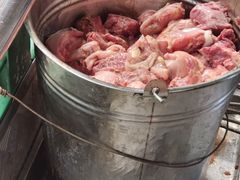 -深圳野生动物园