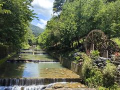 -广州白江湖森林公园