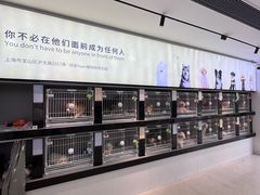 -翊宠yipet猫狗购宠庄园犬舍•猫舍