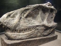 -自贡恐龙博物馆