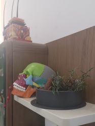 -德绣·机器野生眉发际线·美瞳线半永久