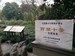 -西湖外事游船(花港观鱼码头)