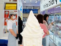 -白色日记·手作酸奶(麦凯乐店)