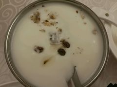 酸奶-楼兰印象(朝外店)