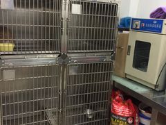 -康旭宠物医院(郑州总院)