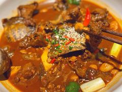 水库甲鱼-甲鱼张甲鱼铺子(观沙岭店)