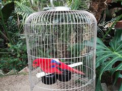 -南宫五洲植物乐园