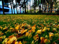 -中国浦东干部学院