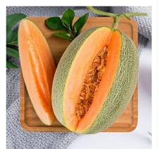 位置在上林轩的一个拐角水果种类齐全水果新鲜干净整齐价格实惠服务