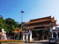 -深圳仙湖植物园