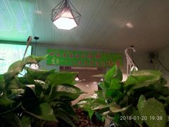 -朝汉美食村(滏东总店)