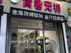 -青奢宠物·青奢猫舍