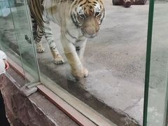 -南昌动物园