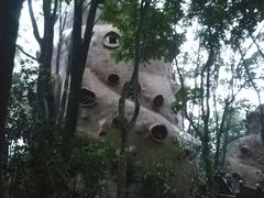景点-天门沟九州驿站树上汤泉