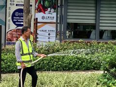 -上海港国际客运中心