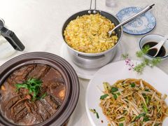 -丁老爷子苏香圆