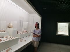 -青岛贝壳博物馆