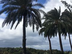 -鹅銮鼻公园