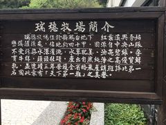 -瑞穗牧场