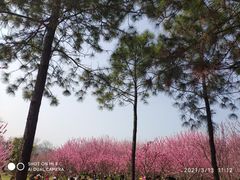 -无锡梅园公园