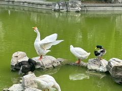 -舜耕山庄四时万和自助餐厅
