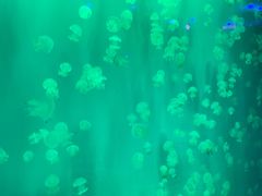 -福州罗源湾海洋世界旅游区