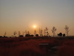 -汉长安城未央宫国家考古遗址公园