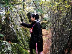 -汤旺河林海奇石景区