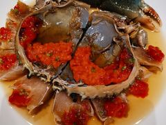 -子福慧(虹桥店)