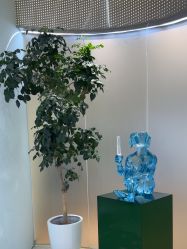 -AIST爱思特医疗美容医院