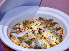 红胡椒煎东海大黄鱼-新光酒家·河豚·海鲜·蟹料理(浦东店)