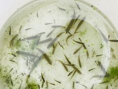 -白水寺森林公园