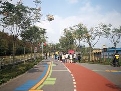 -上海长兴岛郊野公园