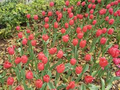 -热火朝天鲜切牛肉火锅(南强街巷店)