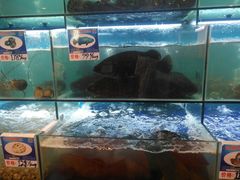 -南海渔家•海鲜•正宗海南菜(海棠湾店)