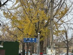 -旅顺博物馆