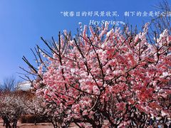 -北京明城墙遗址公园
