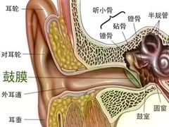 -自然之声助听器(平凉店)
