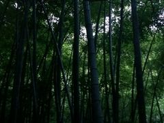 -敬亭山风景名胜区