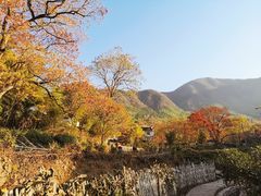 -塔川景区