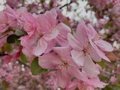 -蓝地时尚庄园(北京清河营地铁站店)