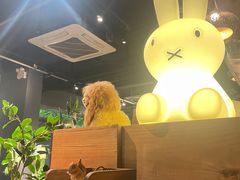 -咖法森林·咖啡  酒吧(天河店)