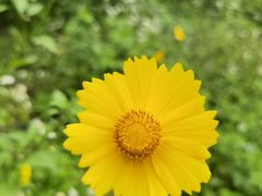 -桤木河湿地公园