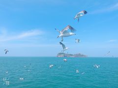 -海驴岛(荣成市)