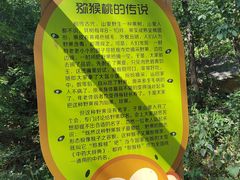 -大岭沟猕猴桃谷风景区