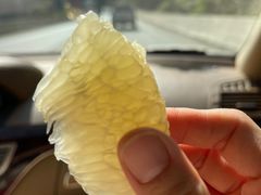 -西双版纳原始森林公园