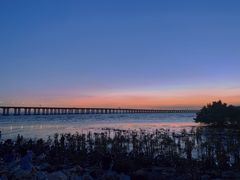 -宝安西湾红树林湿地公园